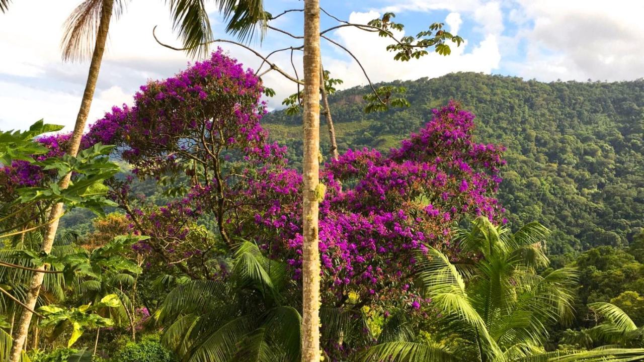 Casa Da Floresta Pico Da Aguia パラチ エクステリア 写真