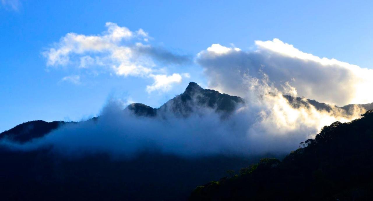 Casa Da Floresta Pico Da Aguia パラチ エクステリア 写真