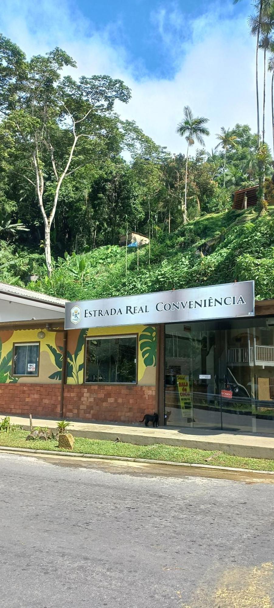 Casa Da Floresta Pico Da Aguia パラチ エクステリア 写真