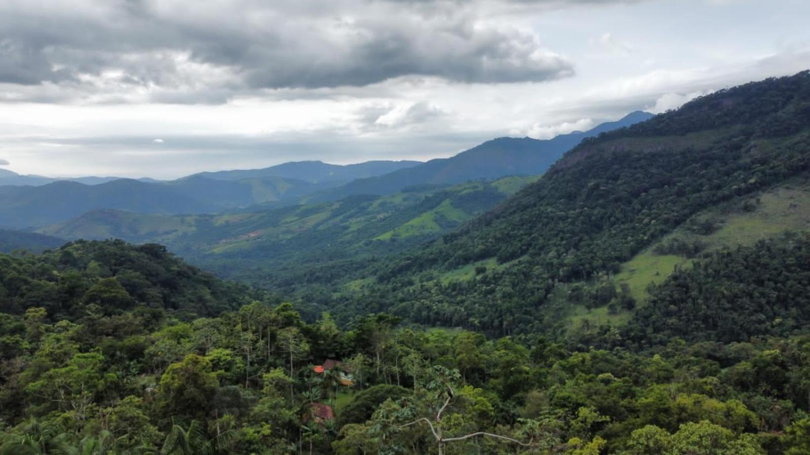 Casa Da Floresta Pico Da Aguia パラチ エクステリア 写真