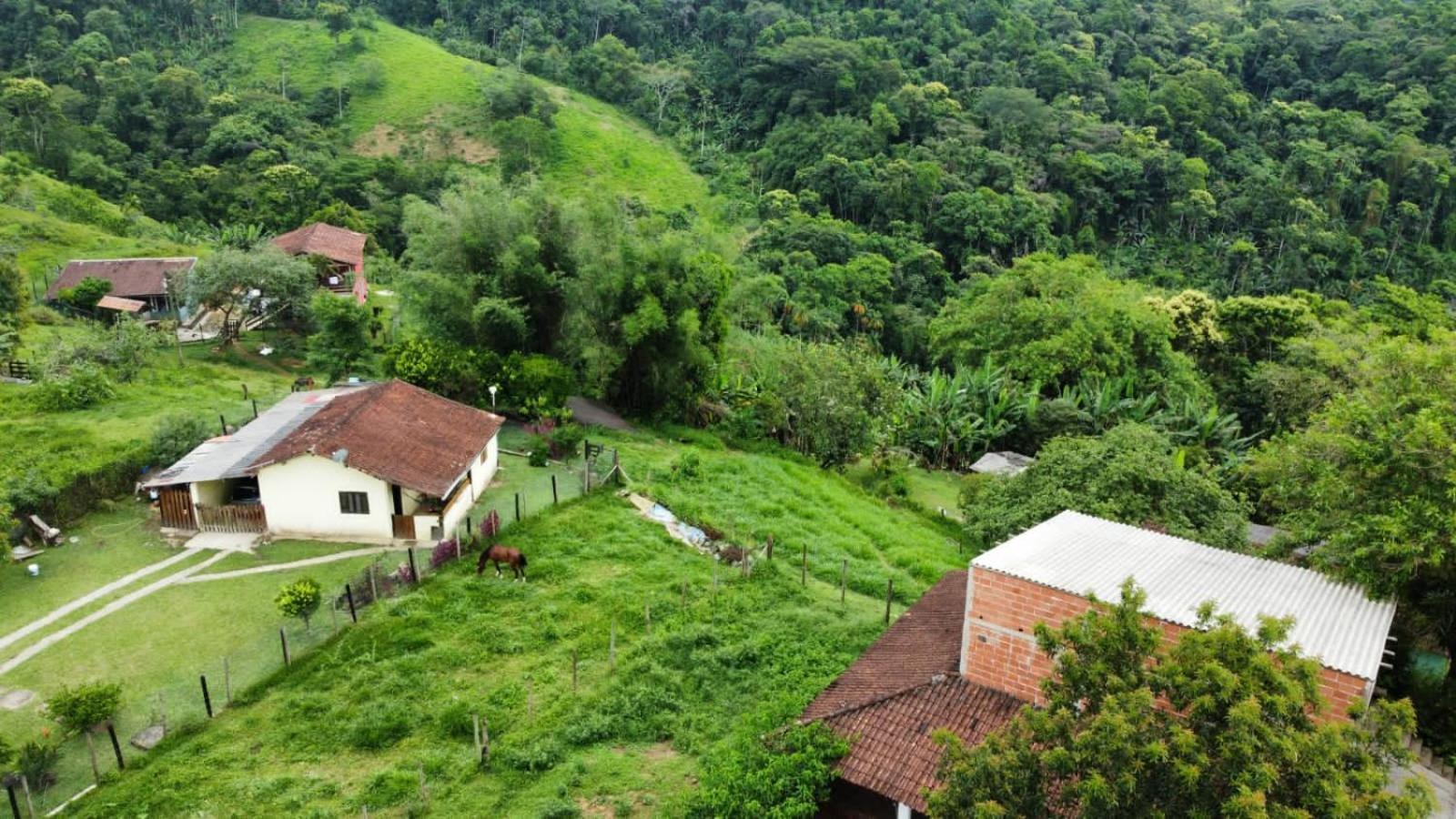 Casa Da Floresta Pico Da Aguia パラチ エクステリア 写真