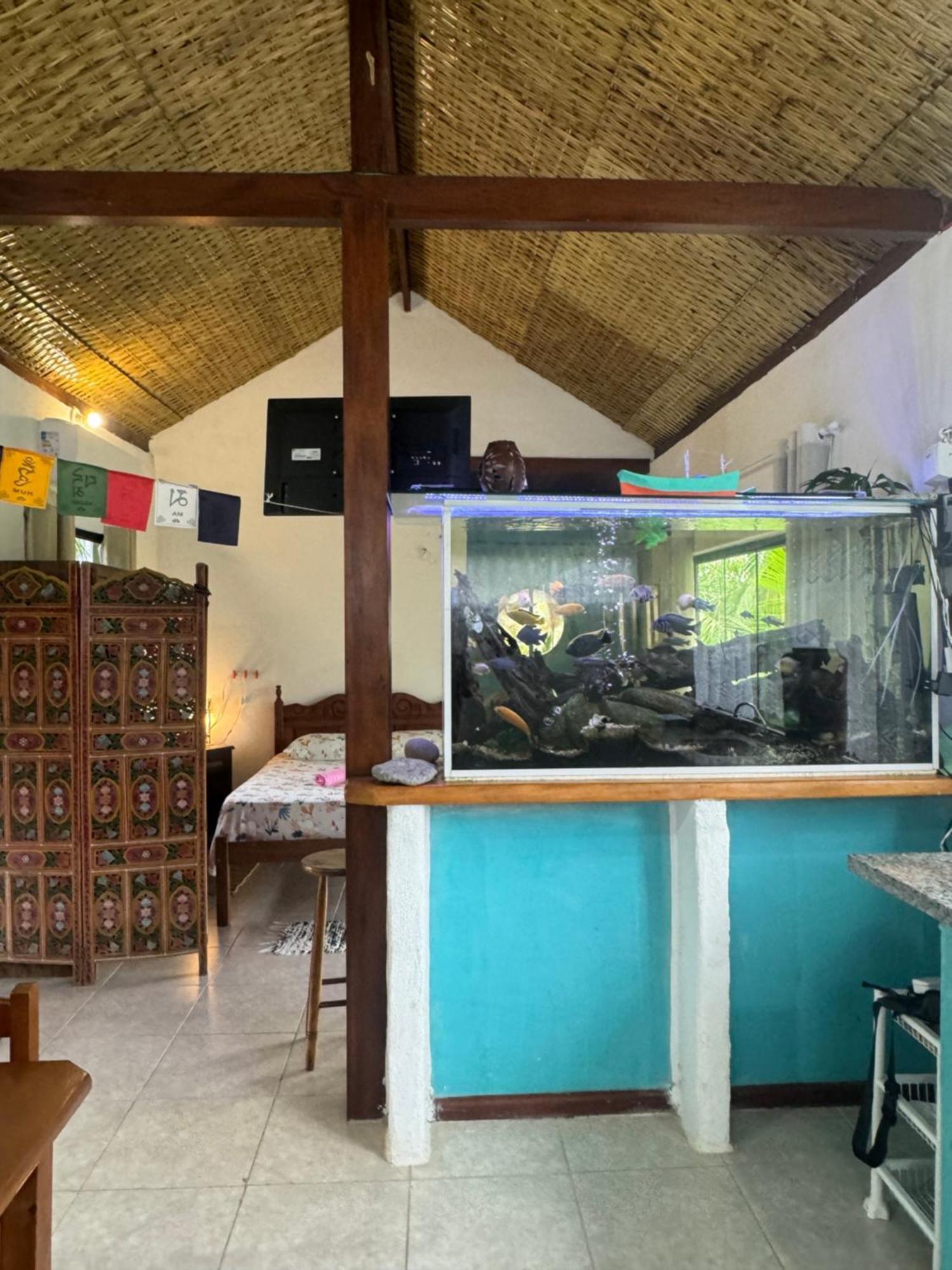 Casa Da Floresta Pico Da Aguia パラチ エクステリア 写真