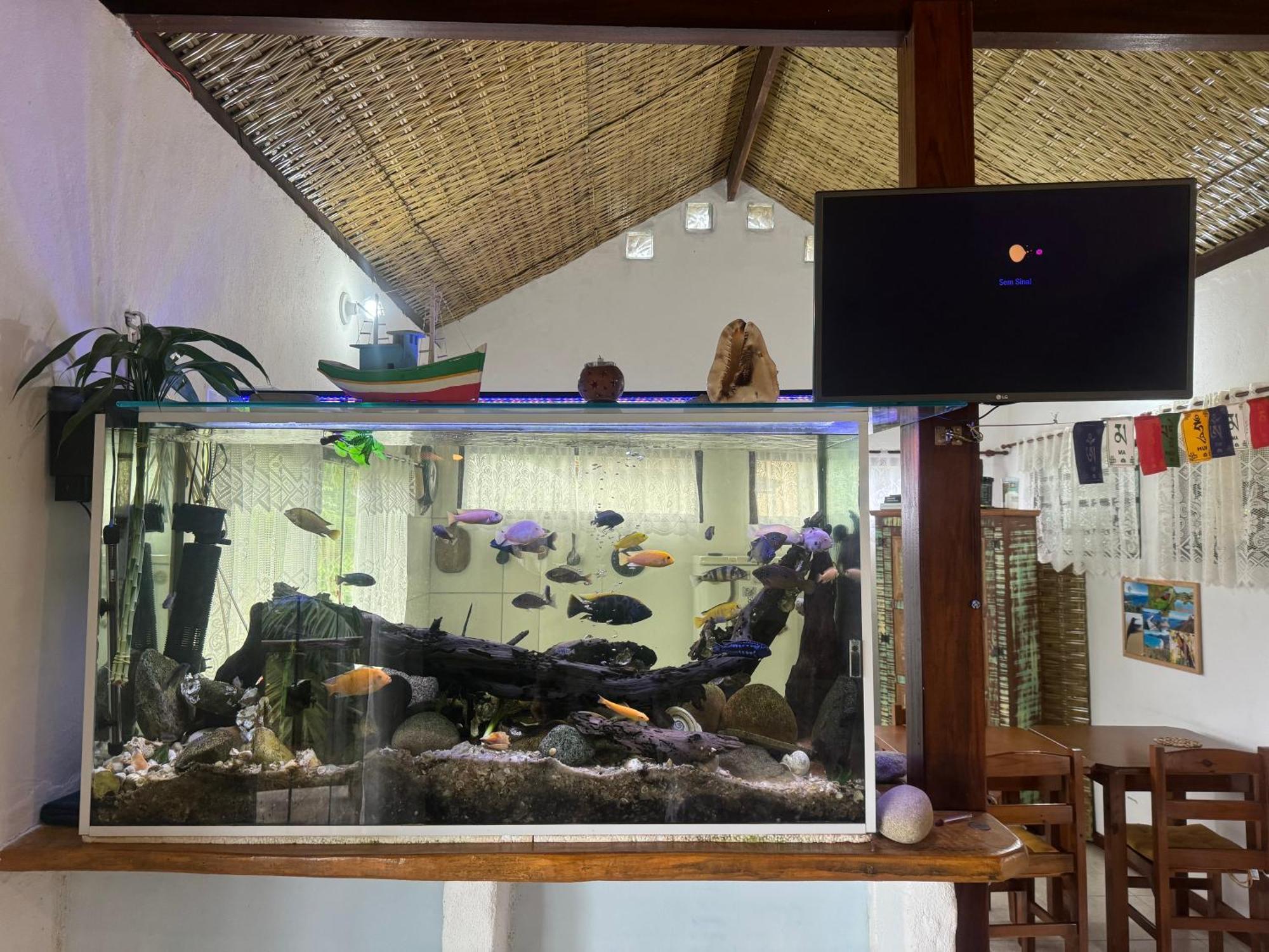 Casa Da Floresta Pico Da Aguia パラチ エクステリア 写真