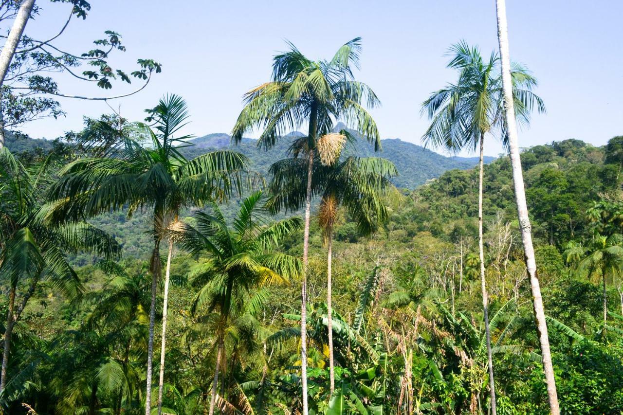 Casa Da Floresta Pico Da Aguia パラチ エクステリア 写真